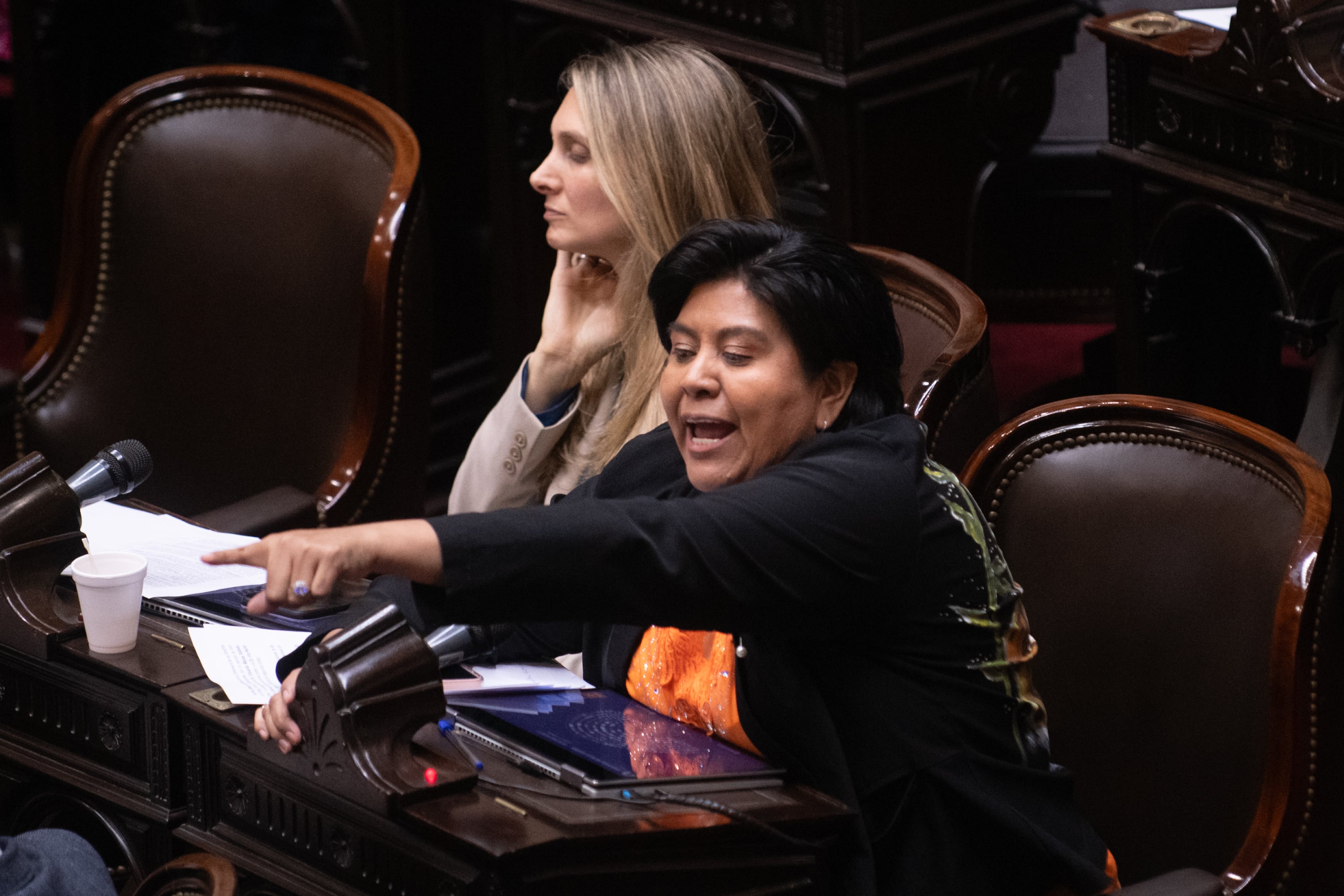 Natalia Sarapura presidió la comisión bicameral para la designación de los postulantes y recibió críticas (Jaime Olivos)