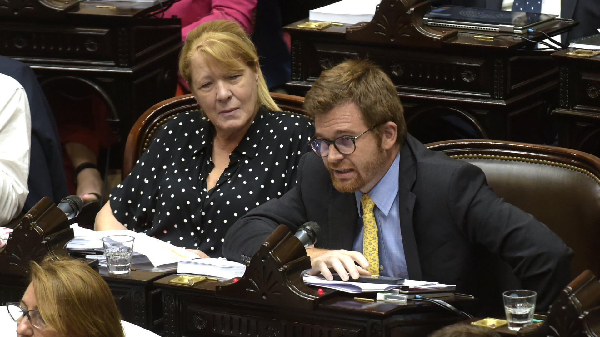 Massot presentó un emplazamiento que fue aprobado por el método de mano alzada (Gustavo Gavotti)