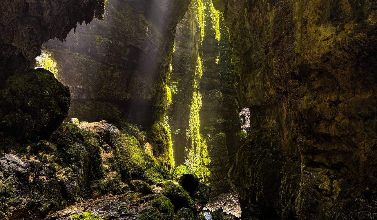 Secretaría de Cultura y Turismo de Santander / Contenido Patrocinado