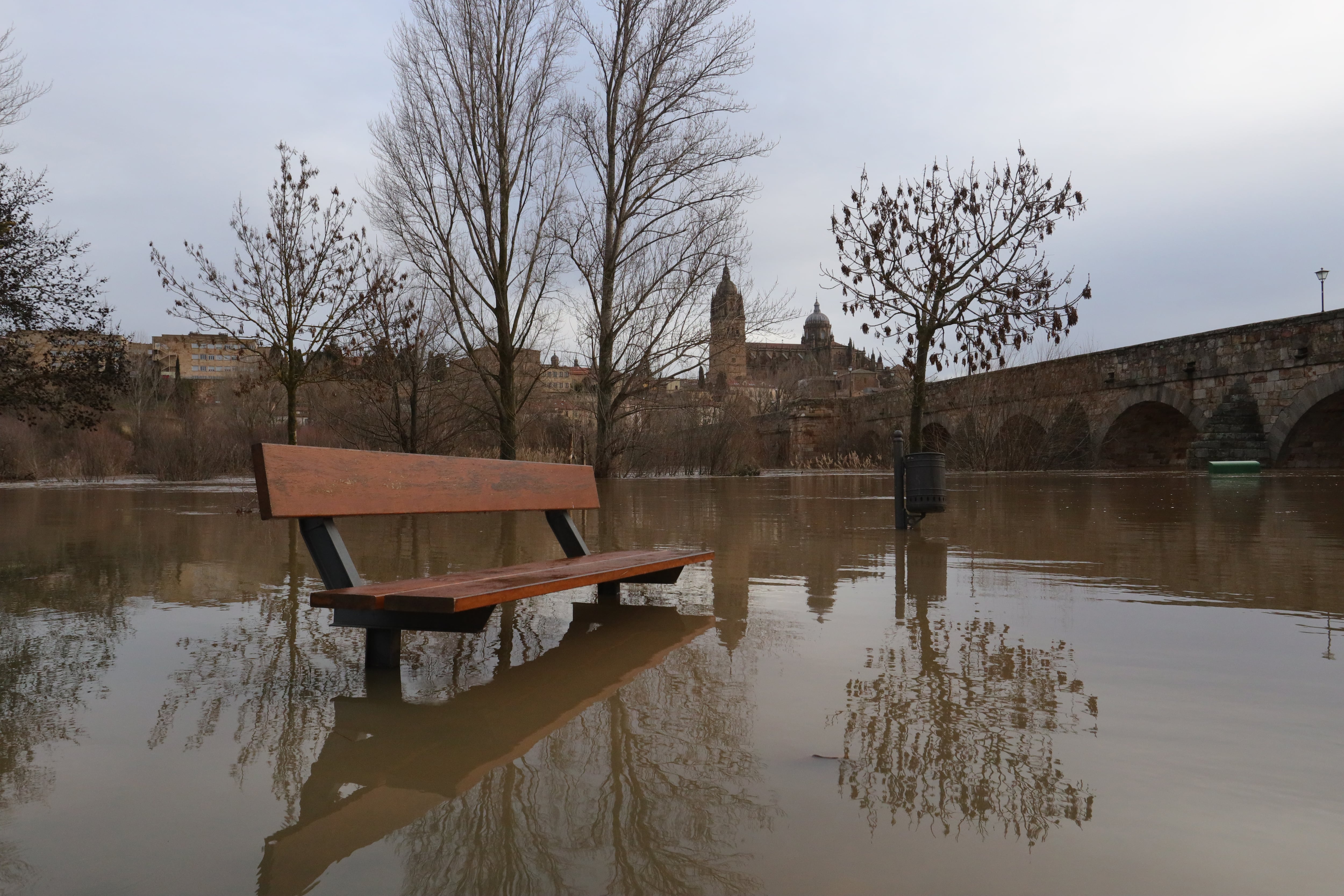 SALAMANCA, 06/02/2026.- Un banco emergeen una zona inundada cerca del puente romano de Salamanca. La borrasca Leonardo ha dejado abundantes precipitaciones que han acabado por desbordar arroyos y disparar los caudales de los principales ríos de la provincia, como el Tormes a su paso por la capital salmantina. EFE/J.M.GARCÍA