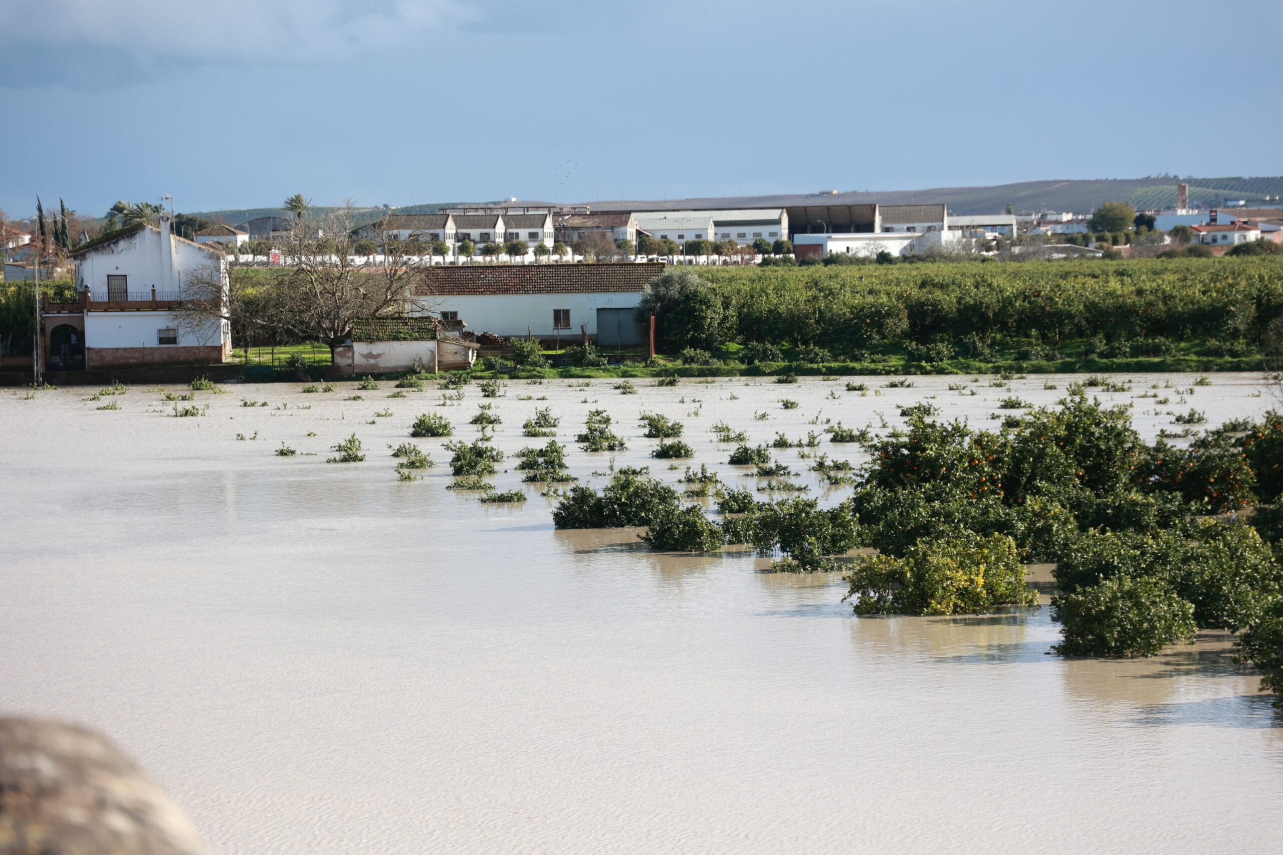 Últimas noticias del temporal ‘Marta’, en directo | Más de 11.000 desalojados en Andalucía ante la llegada de una nueva borrasca