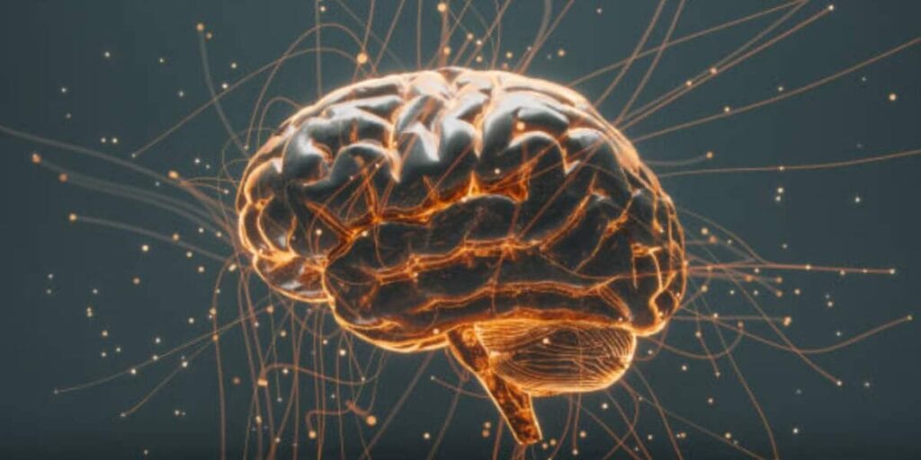 Científicos identifican el interruptor cerebral que activa el estado de alerta