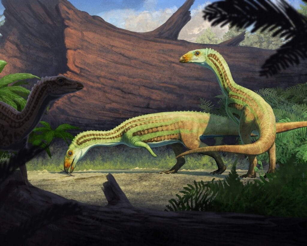 Sonselasuchus cedrus: ancestro cocodrilo que aprendió a caminar bípedo