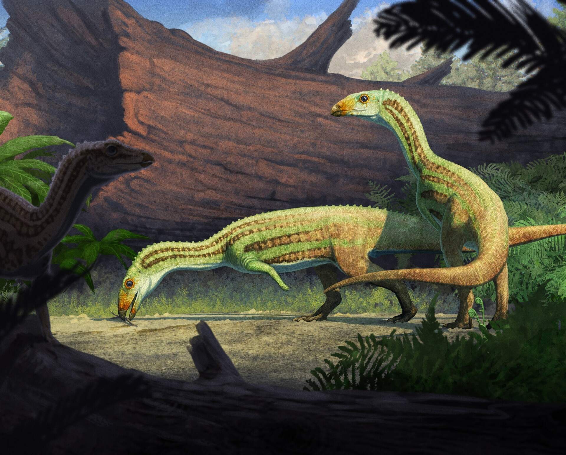 Sonselasuchus cedrus: ancestro cocodrilo que aprendió a caminar bípedo