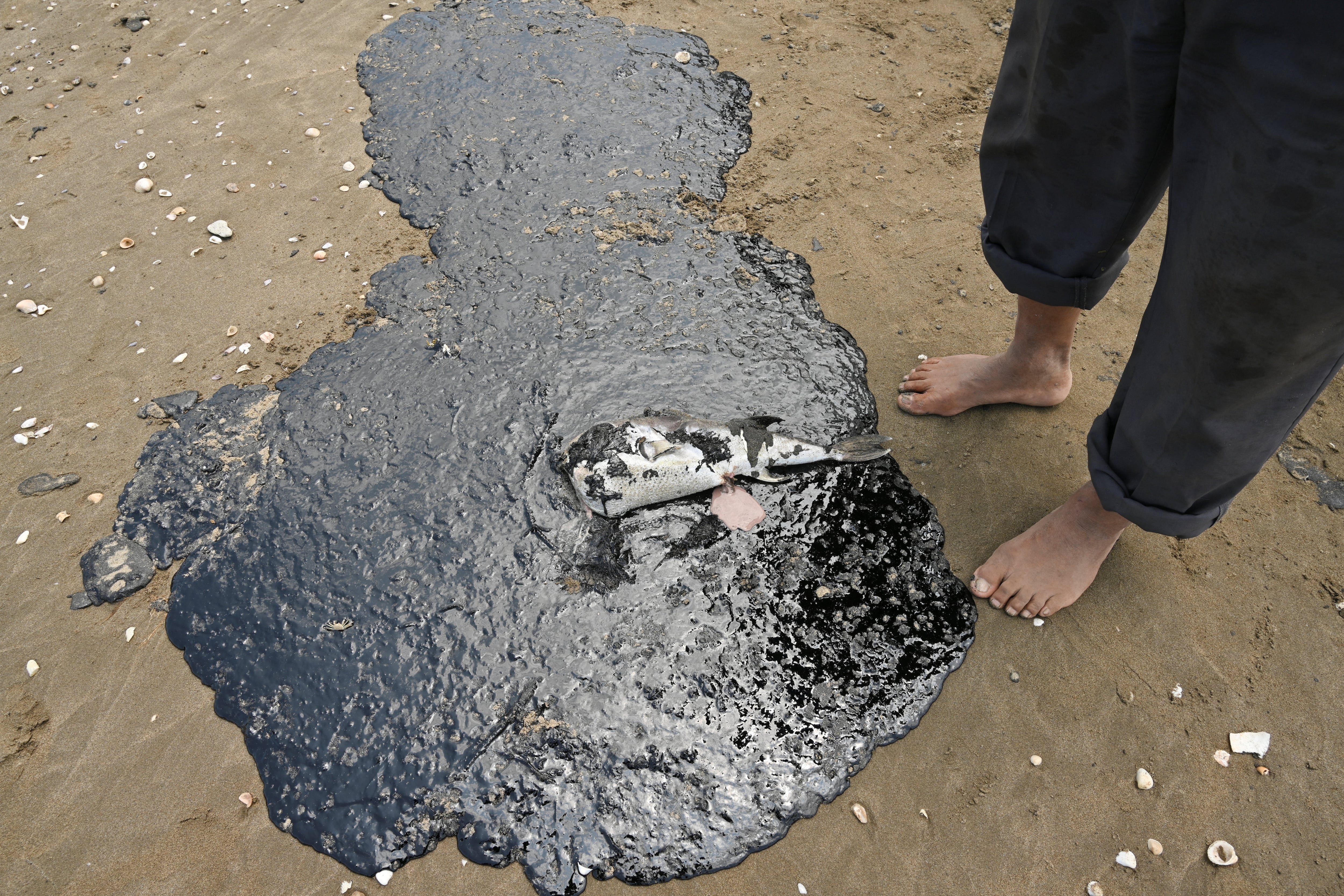 La reparación del ducto de 36 pulgadas finalizó el 18 de febrero, pero se ocultaron reportes de fugas y el volumen real de agua oleosa recuperada. REUTERS/Luis Manuel Lopez