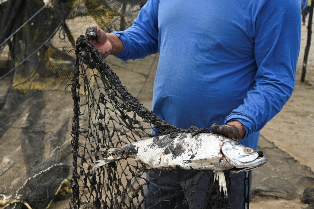 La Comisión Nacional del Agua informa sobre la mortandad de peces en Tamaulipas y Veracruz. REUTERS/Luis Manuel Lopez