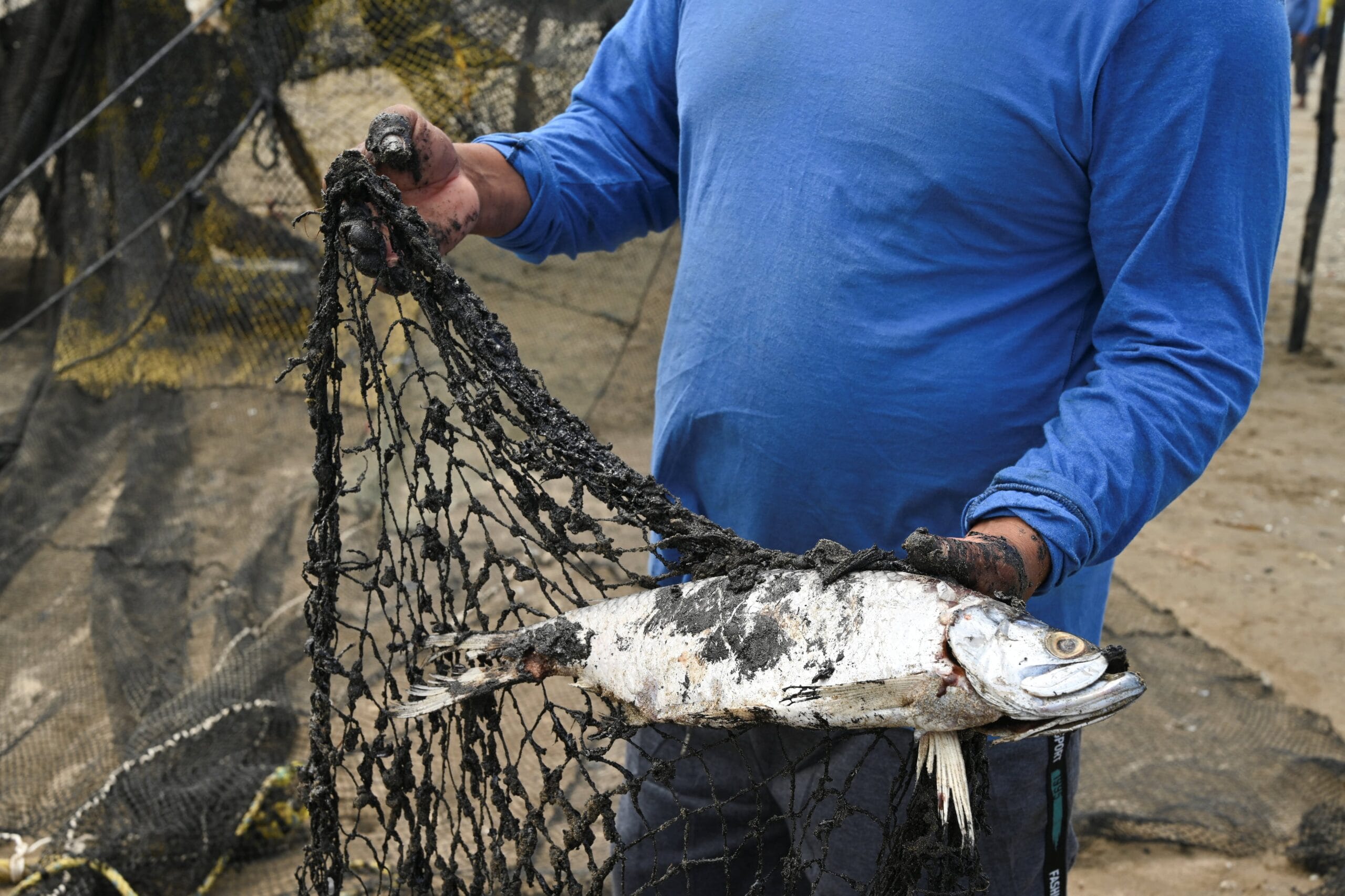 La Comisión Nacional del Agua informa sobre la mortandad de peces en Tamaulipas y Veracruz. REUTERS/Luis Manuel Lopez