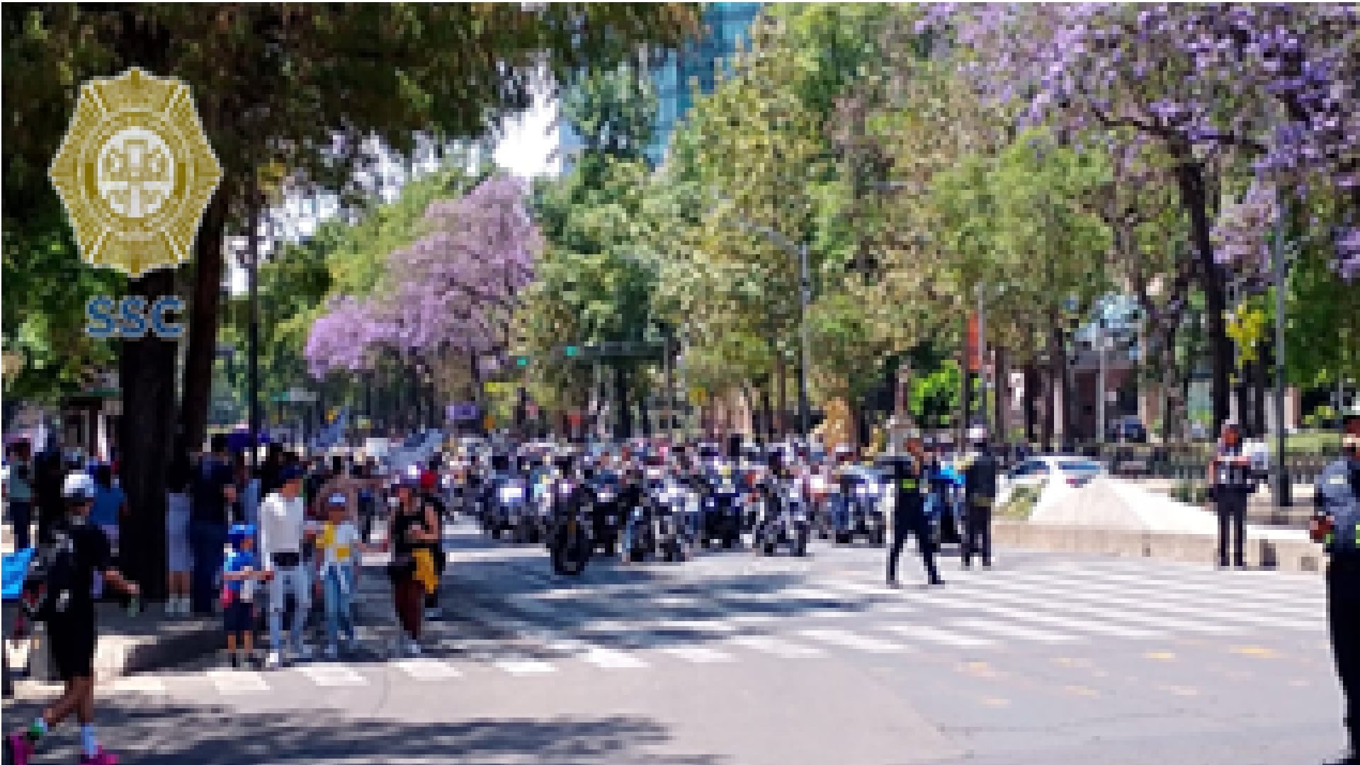 Cierre vial en Reforma CDMX (@OVIALCDMX(X)