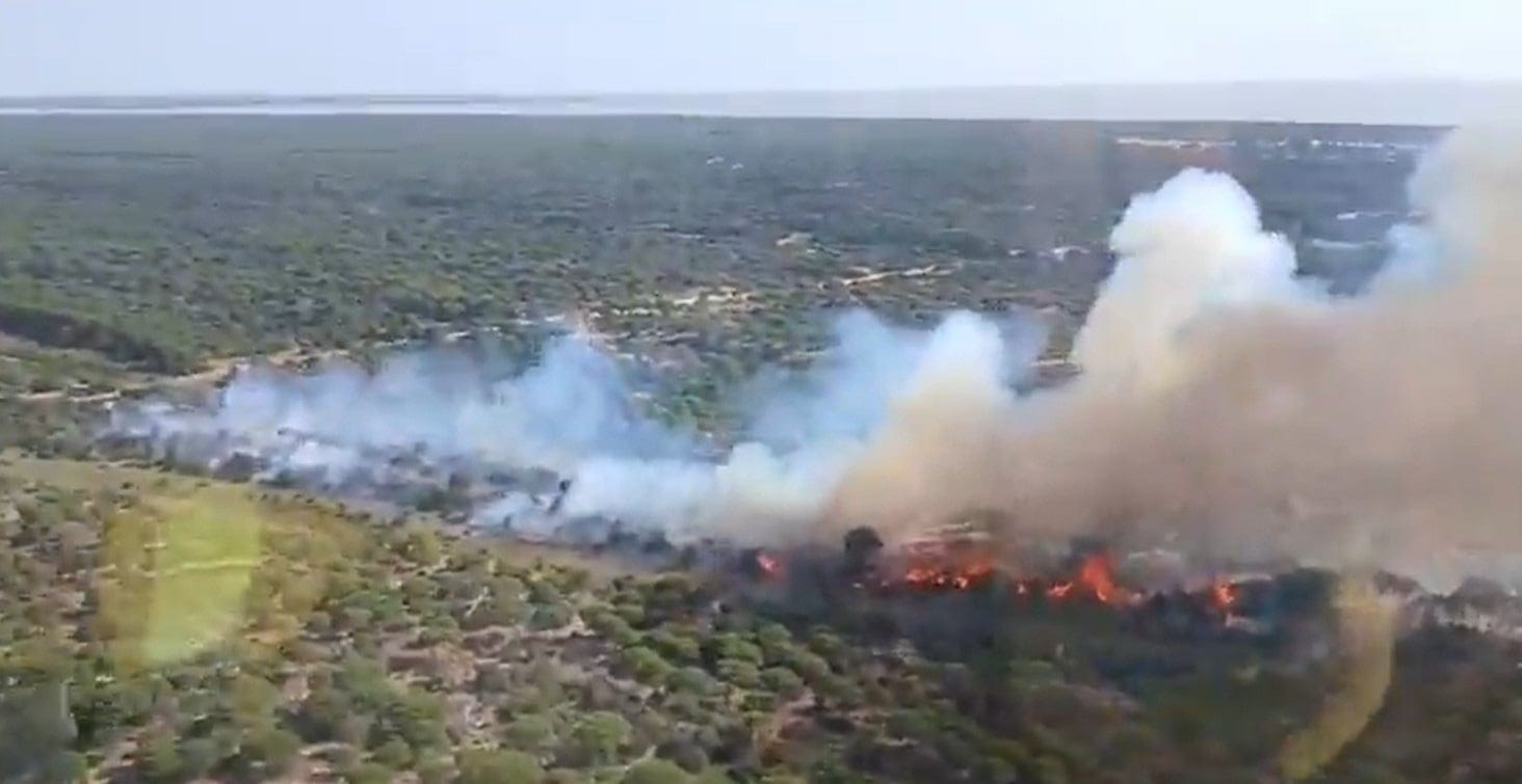 Un centenar de bomberos forestales acotan el incendio declarado este domingo en Doñana, que condiciona el regreso de las hermandades del Rocío