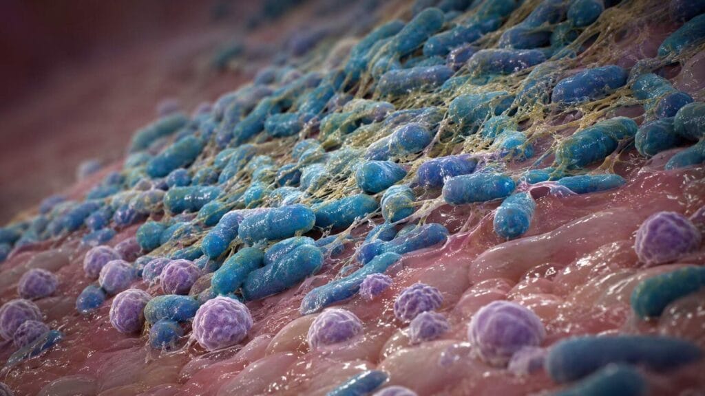 Las bacterias más “pegajosas” pueden provocar infecciones menos graves