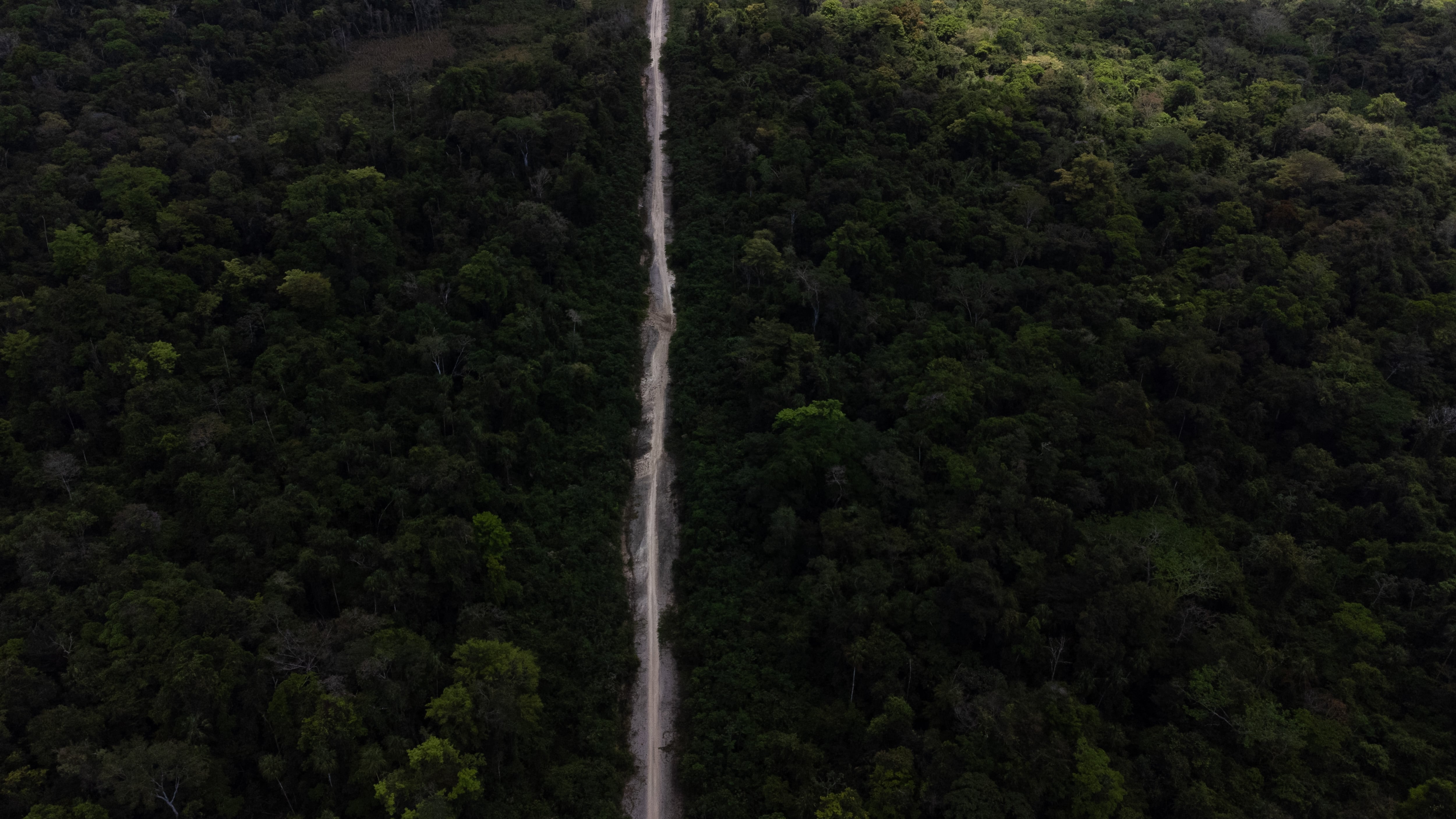 Vista de la antigua pista ilegal para el tráfico de droga en la zona Lacandona.