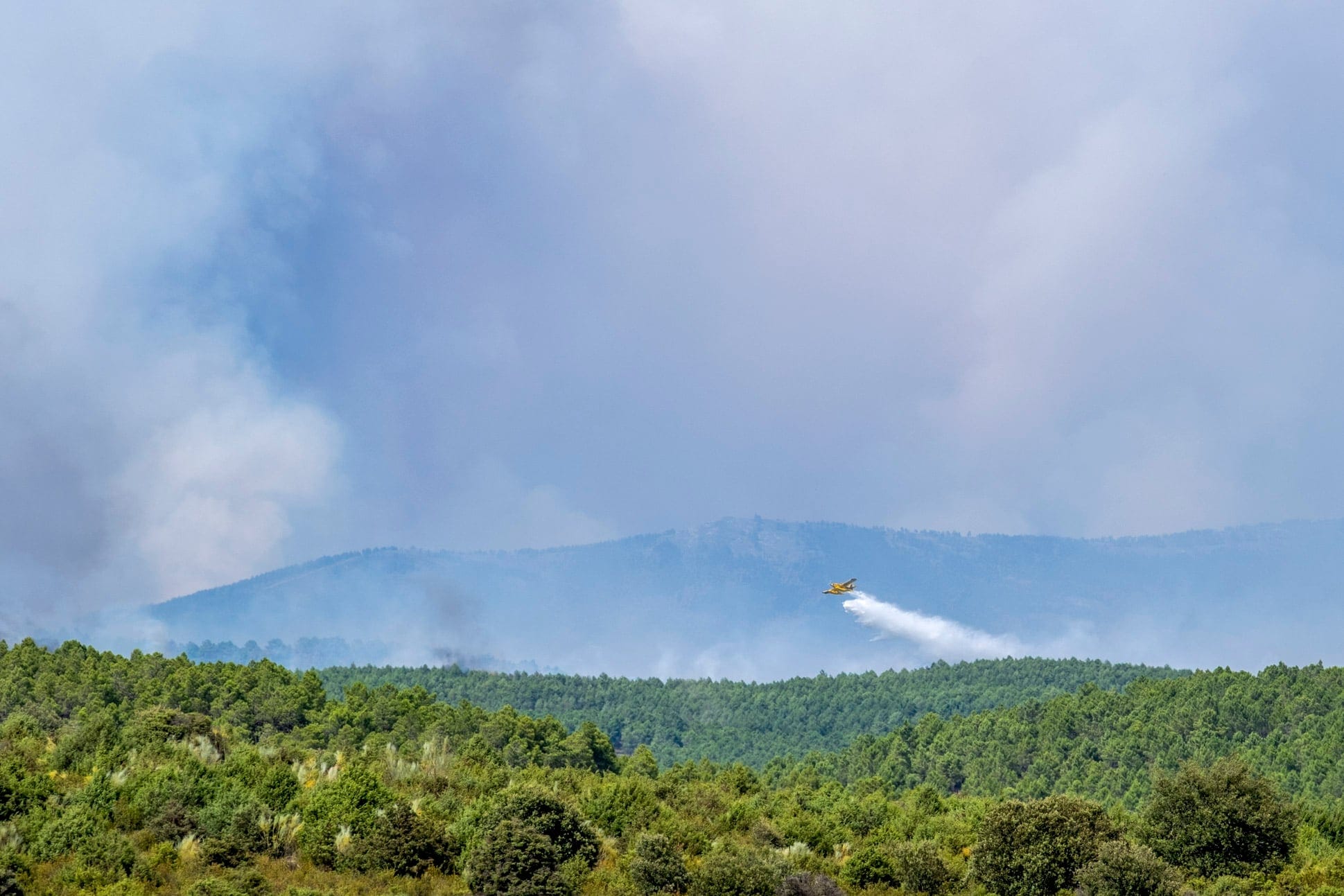 Última hora de los incendios forestales, en directo | El fuego en la sierra norte de Guadalajara supera las 13.000 hectáreas y obliga a evacuar a 800 personas en 21 municipios