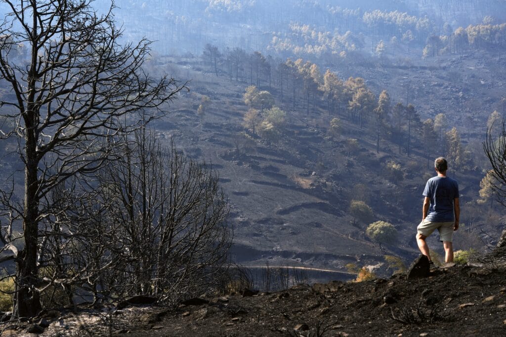 Última hora de los incendios forestales, en directo | Marlaska anuncia que en las últimas 24 horas “no ha habido ningún avance del fuego” en el incendio de Ávila y Madrid