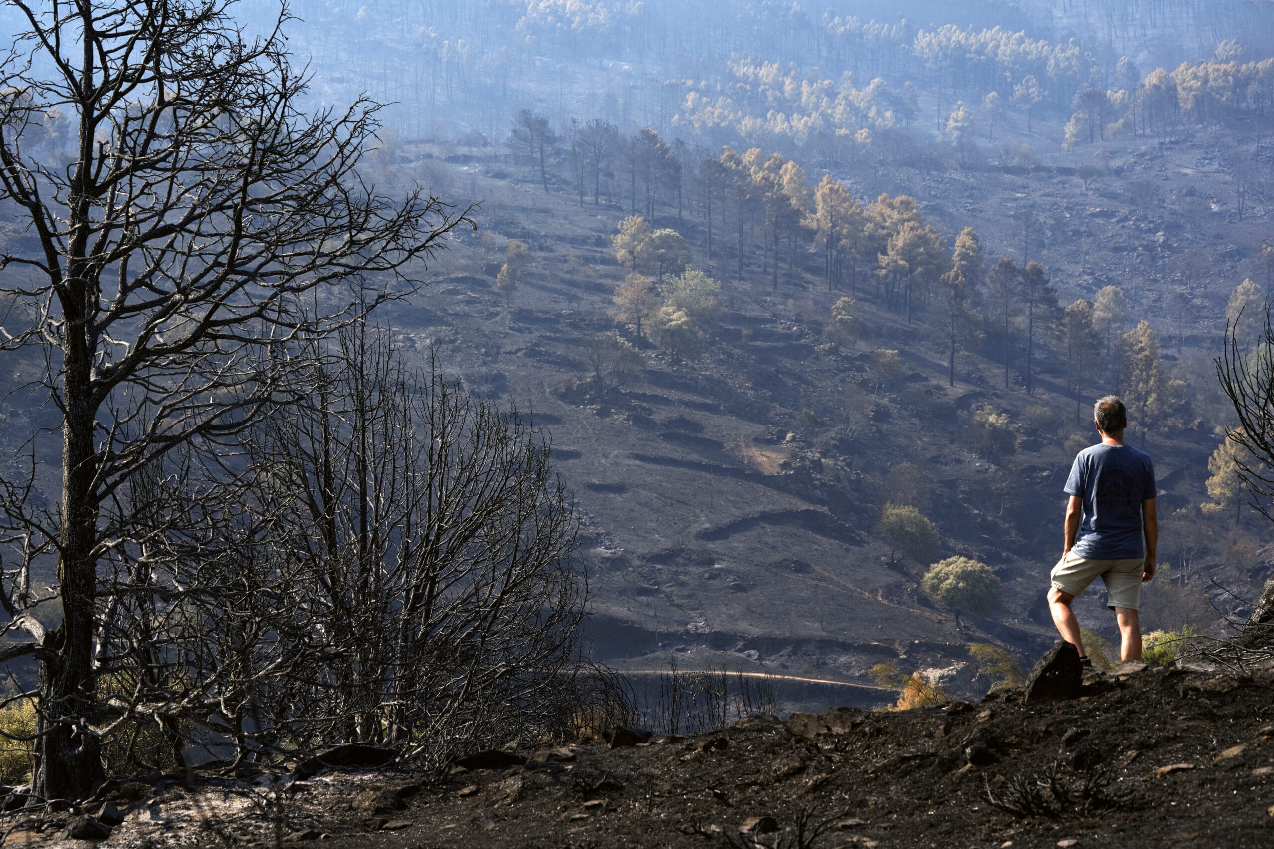 Última hora de los incendios forestales, en directo | Marlaska anuncia que en las últimas 24 horas “no ha habido ningún avance del fuego” en el incendio de Ávila y Madrid