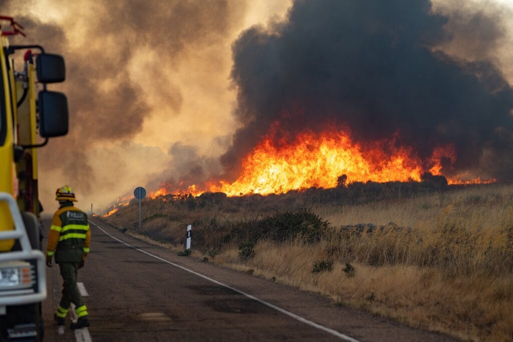 El fuego en Fermoselle, Zamora, abrasa los árboles cercanos a la CL-527.