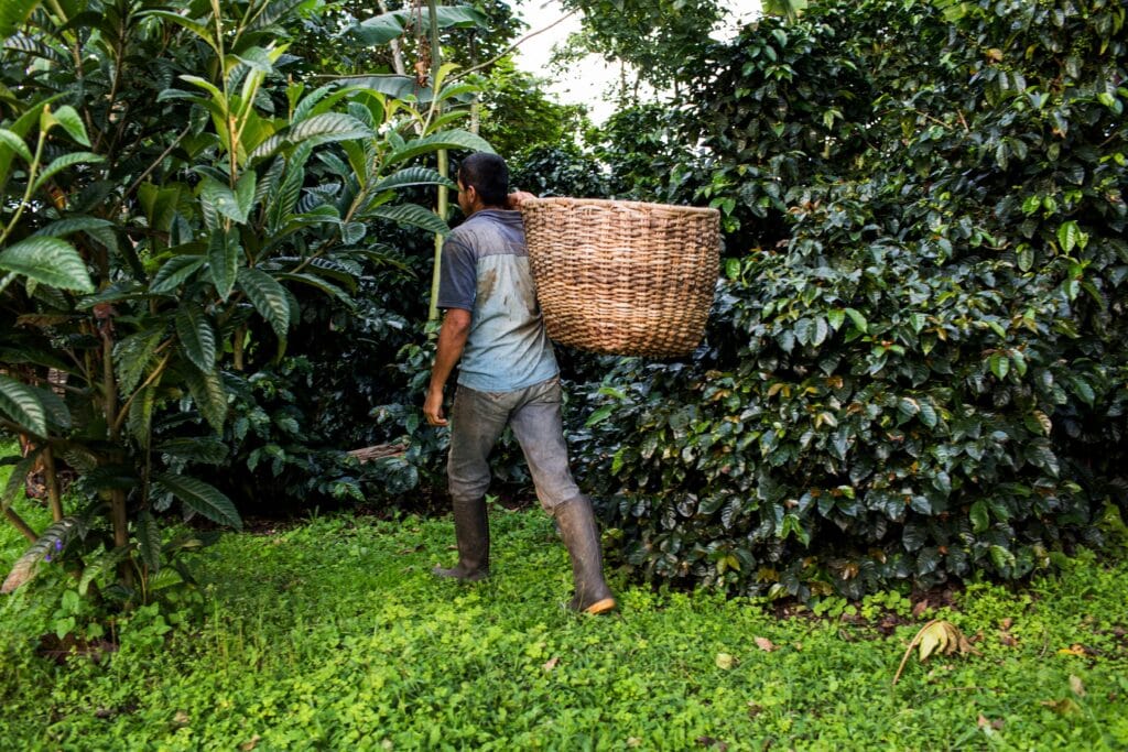 El Gobierno de De la Espriella empieza a desmontar una protección para un millón de hectáreas agrícolas