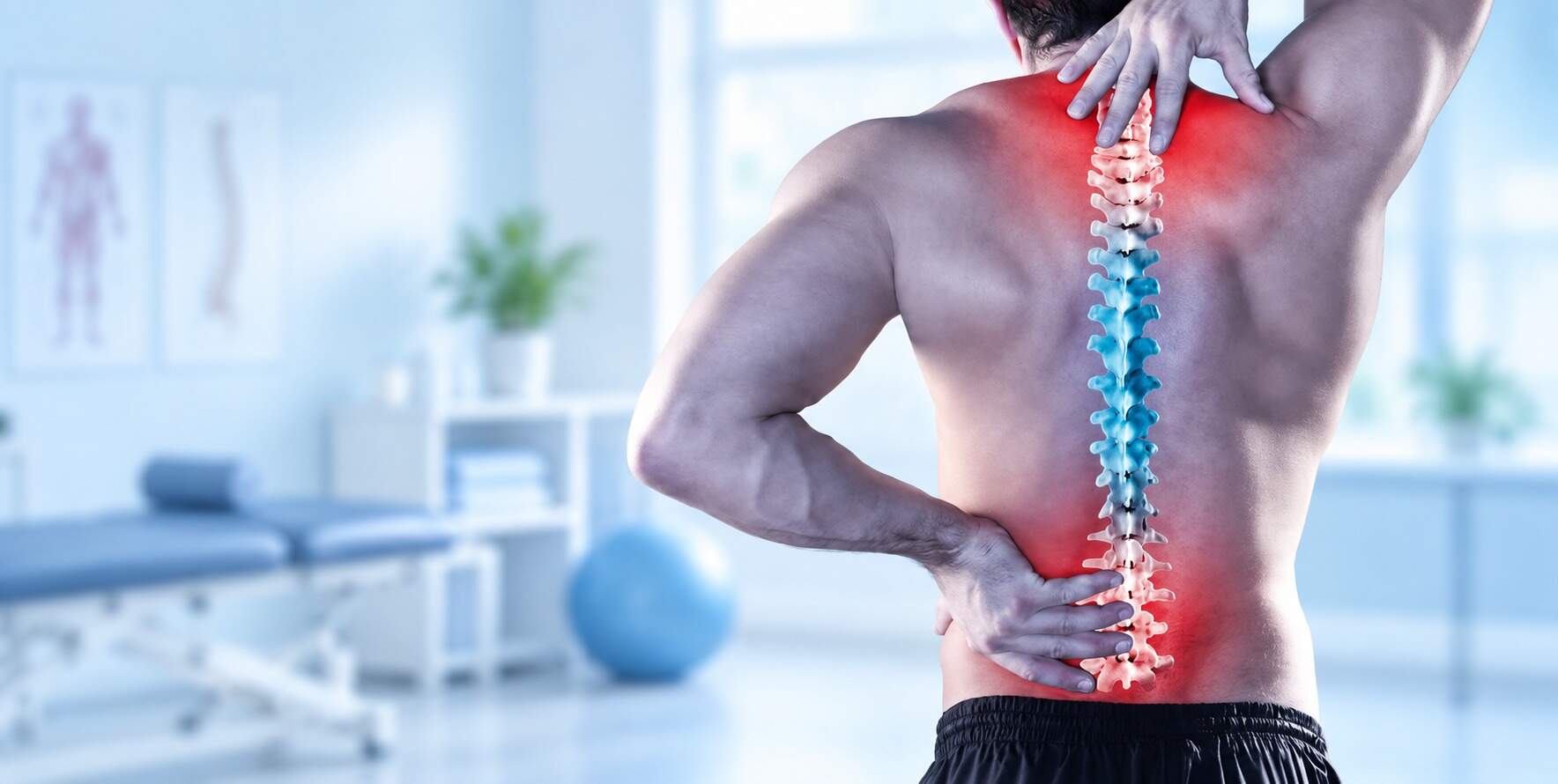 Descubren una célula madre que impulsa el engrosamiento de ligamentos lumbares