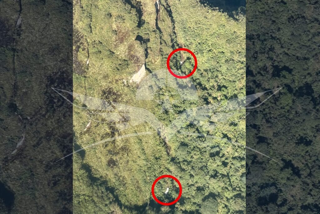 El difícil rescate de la avioneta accidentada tras participar en una brigada médica en Chocó