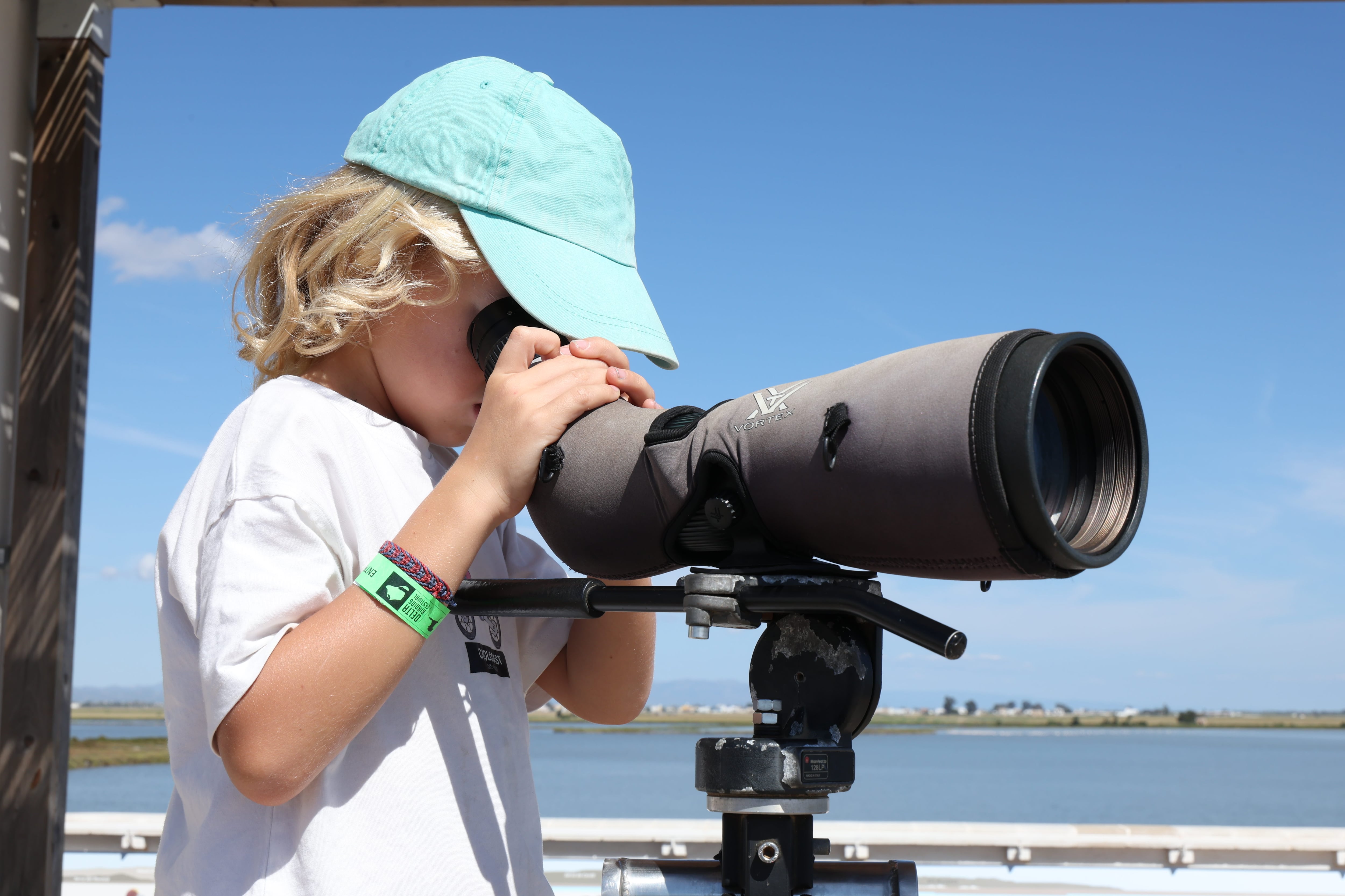 Un niño observa pájaros en el XII DElta Birding Festival