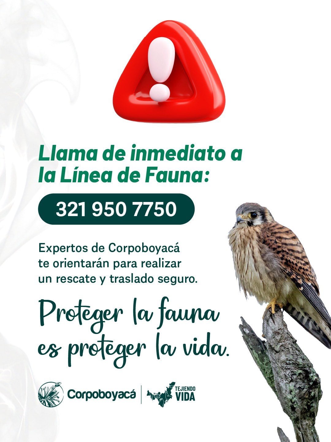 Corpoboyacá habilitó una línea para reportar fauna silvestre afectada por los incendios en Villa de Leyva - crédito Corpoboyacá