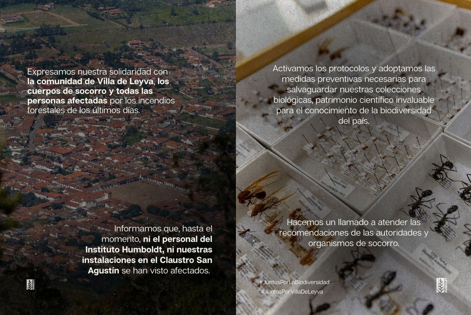 Instituto Humboldt activa protocolos para proteger sus colecciones biológicas por incendios en Villa de Leyva - crédito @inst_humboldt/X