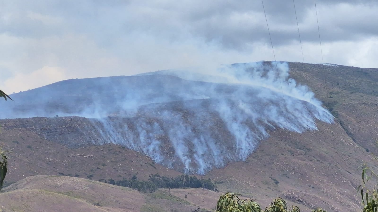 El lugar señalado se encuentra aproximadamente a seis kilómetros del casco urbano de Villa de Leyva, por la vía que conduce hacia Gachantivá - crédito Bomberos