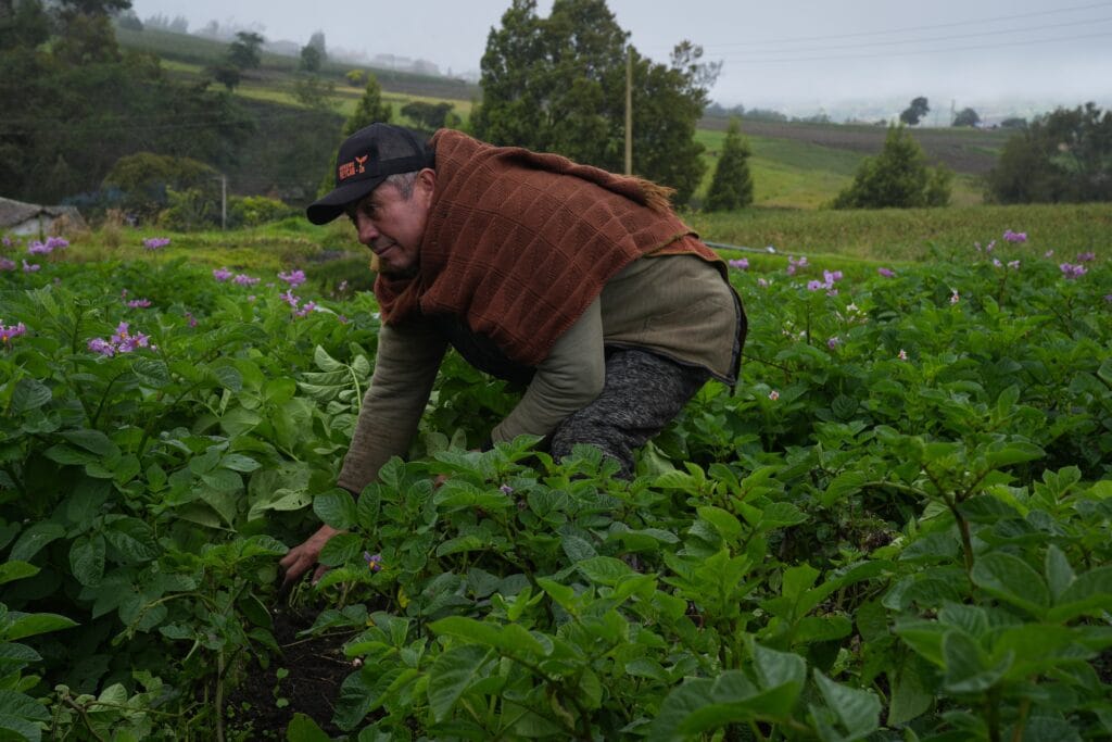 El Gobierno de De la Espriella reemplaza la palabra ‘campesino’ por ‘empresario del campo’