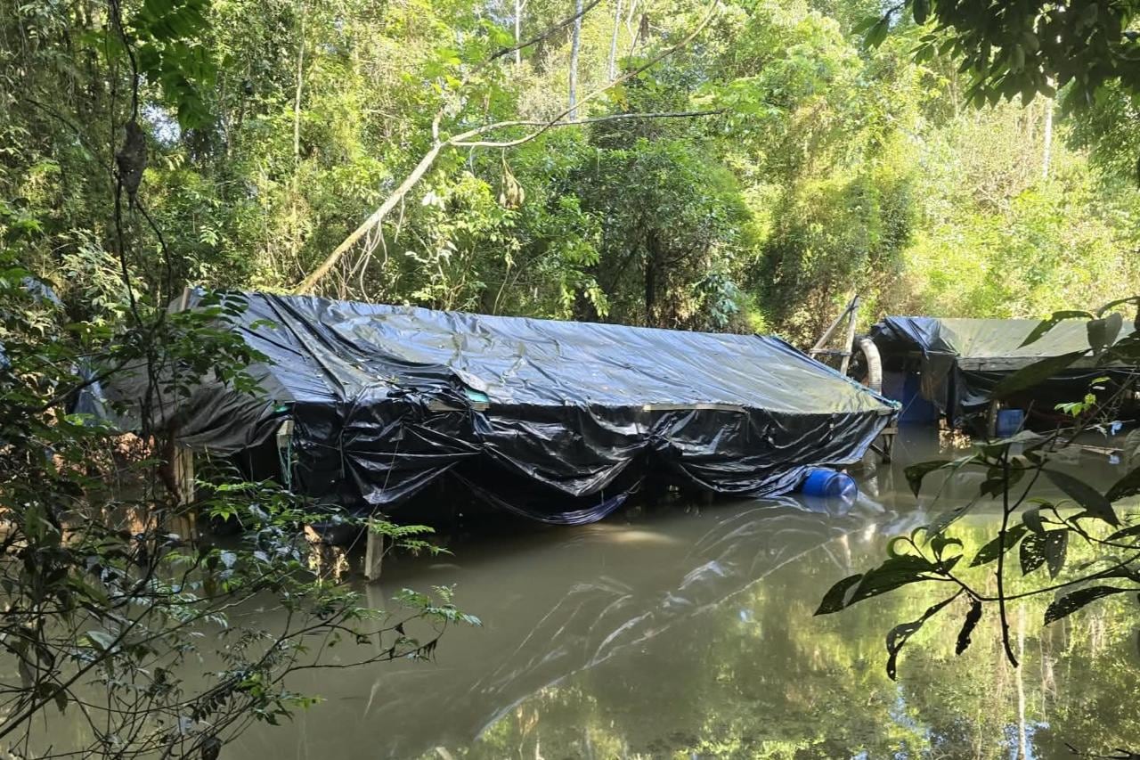 Las Fuerzas Militares neutralizaron 269 unidades de producción minera en todo el territorio nacional entre agosto y septiembre - crédito prensa Armada de Colombia