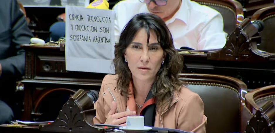 Natalia de la Sota pidió que el proyecto vuelva a ser tratado en comisión, con la participación del colectivo de discapacidad