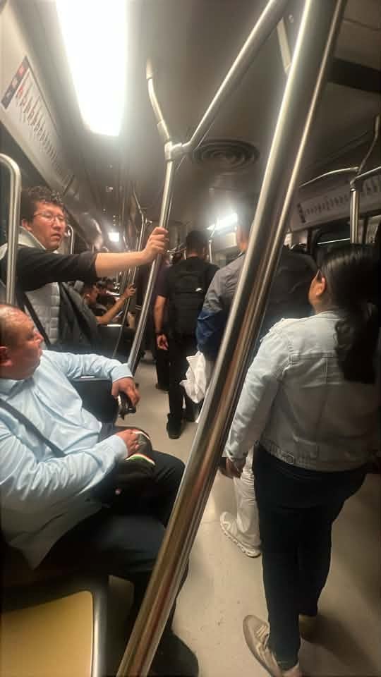 Usuarios del Metro de la Línea 12 son bajados de los trenes al presentarse fallas en el sistema (especial)
